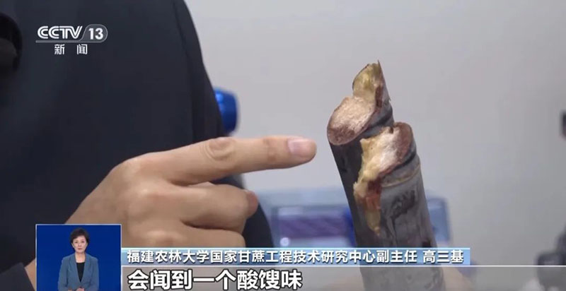 640 (4) 拷贝.jpg