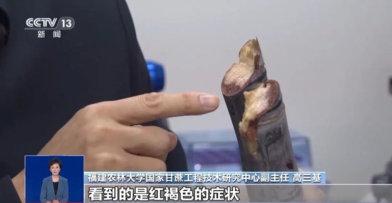 640 (2) 拷贝.jpg 640 (2) 拷贝.jpg